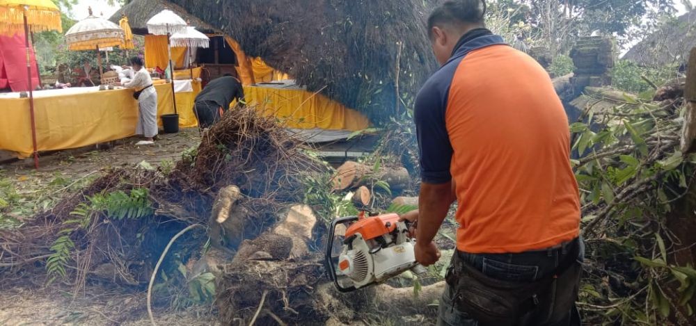 Masuk Musim Penghujan, DLH Tangsel Siaga Pohon Tumbang
