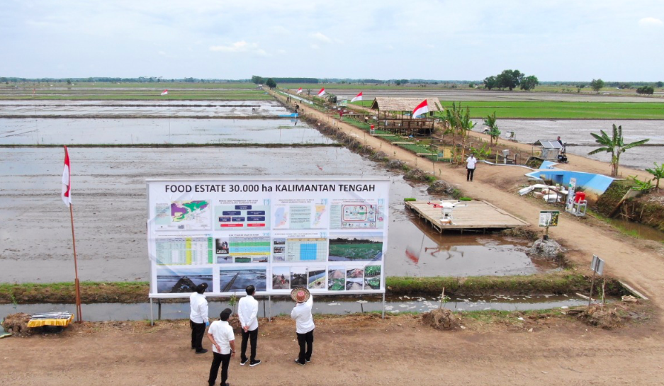 Didemo Ribuan Orang, Ini 5 Potret Kunjungan Kerja Jokowi Di Kalimantan