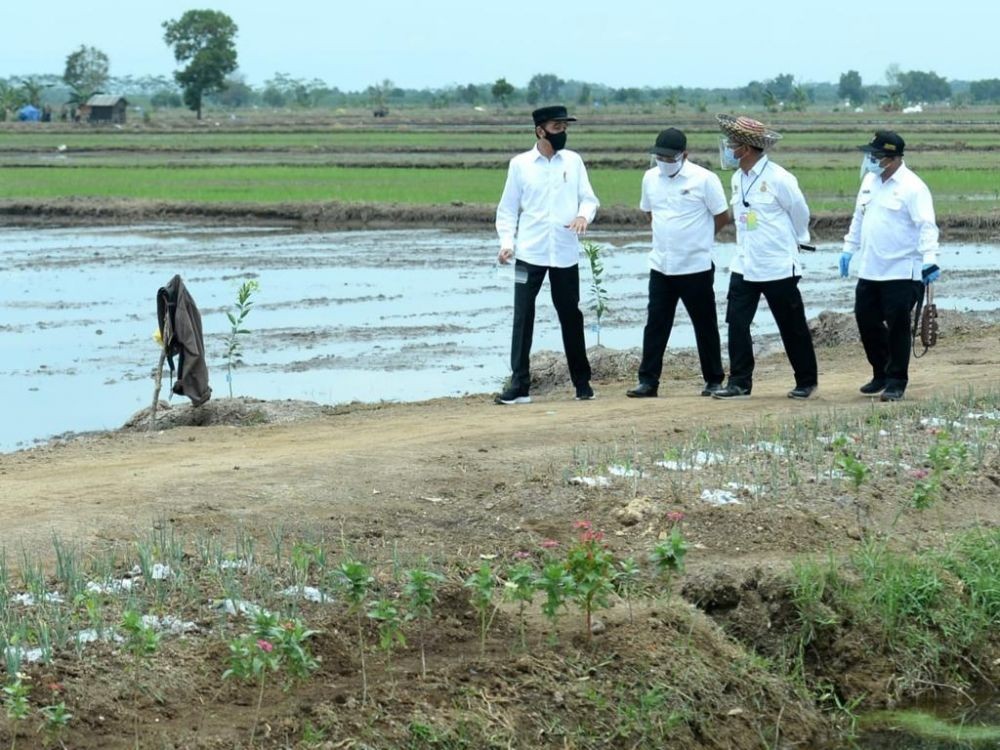 Jokowi Ungkap Alasan Bangun Lumbung Pangan Di Sumba Tengah N