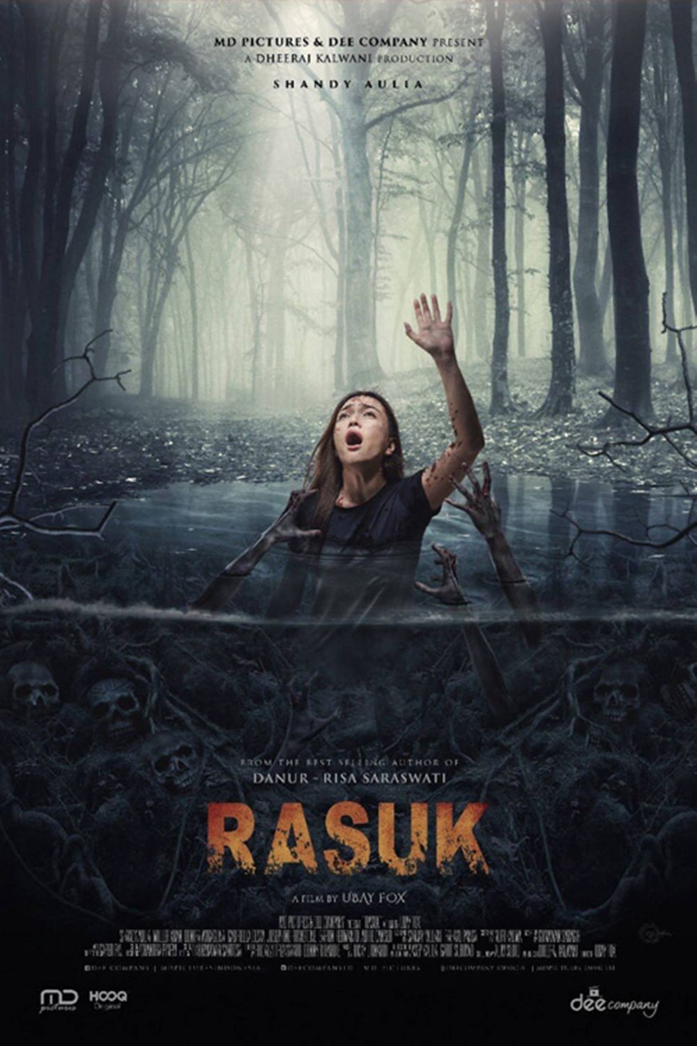 8 Film Indonesia Yang Diadaptasi Dari Novel Risa Saraswati Ada Drama 