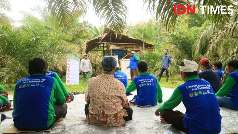 Pertama di Dunia, Petani Sawit Indonesia Dapatkan Sertifikasi RSPO