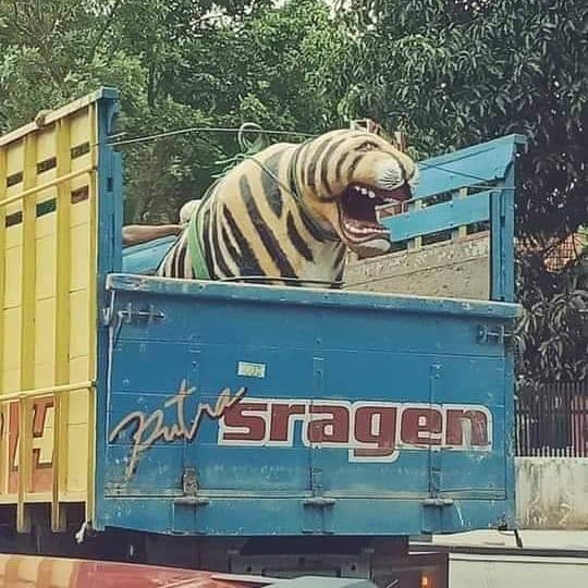 Awas Jantungan! 10 Potret Tampak Seram dan Horor ini Menipu Mata, Lho