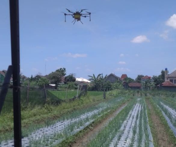 Petani di Kalasan Gunakan Teknologi Drone untuk Semprot Hama