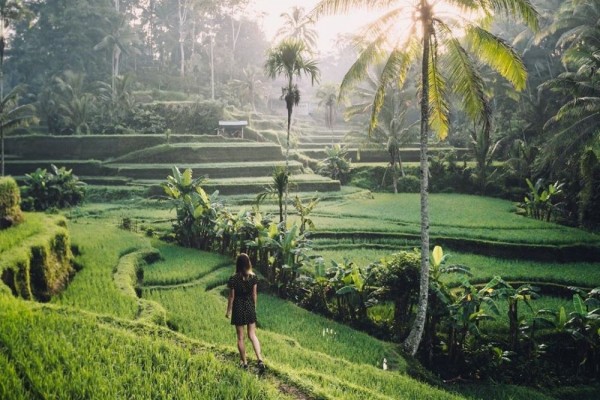 Catat! 10 Tempat Wisata Paling Hits Di Ubud