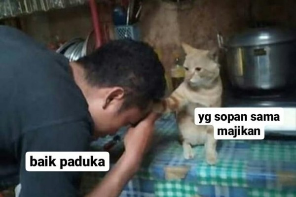 Ampun Deh! 10 Meme Lucu Ketika Hewan Peliharaan Jadi Majikan