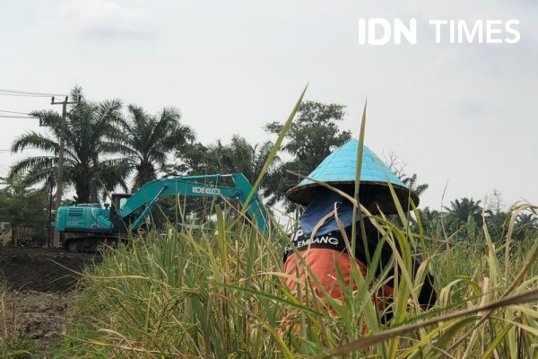 Pemprov Sumsel Sulap Sawah Rawa Jadi Kantor Terpadu Baru