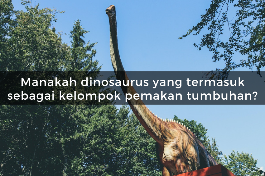 [QUIZ] Kuis Tentang Dinosaurus, Buktikan Jika Kamu Suka Ilmu Sejarah!
