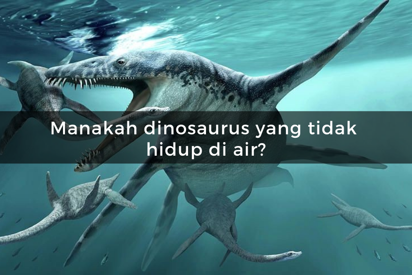 [QUIZ] Kuis Tentang Dinosaurus, Buktikan Jika Kamu Suka Ilmu Sejarah!