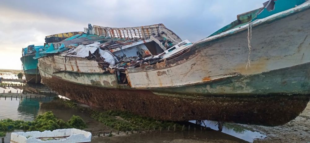 Lahan Budidaya Rumput Laut di Serangan Bali Rusak akibat Bangkai Kapal