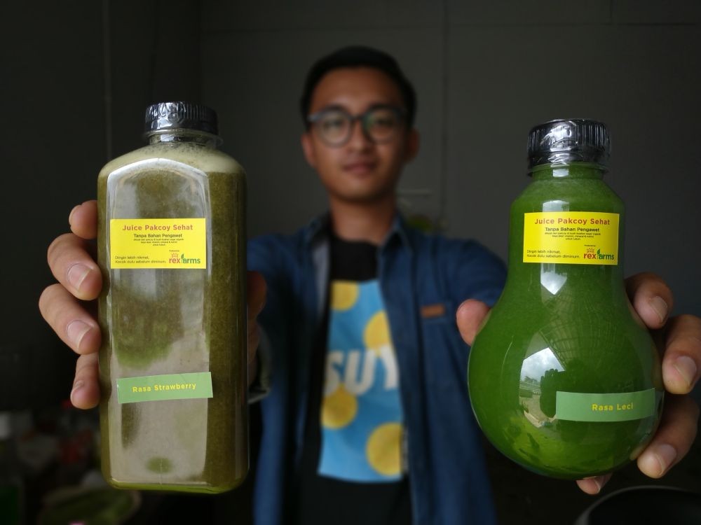 Pebisnis Travel Rela Tanam Sayur dan Jual Jus Pakcoy di Kala Pandemik