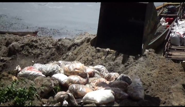 Ratusan Ton Ikan di Danau Toba Mati Mendadak, Ada Apa?