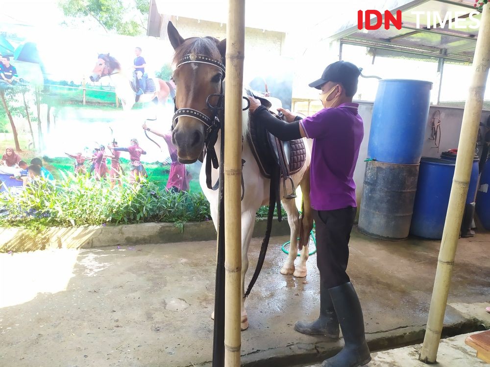 Nikmati Wisata Berkuda Sembari Merawat di D'Sultan Stable Palembang