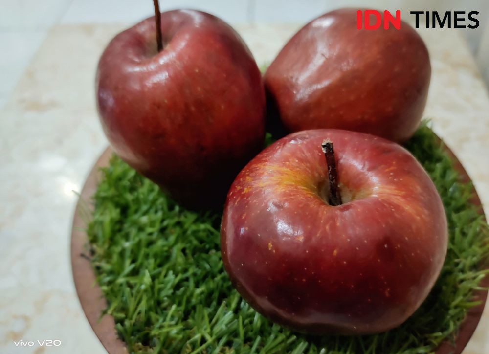 5 Cara Menyimpan Apel, Agar Buah Kesukaanmu Tak Cepat Busuk