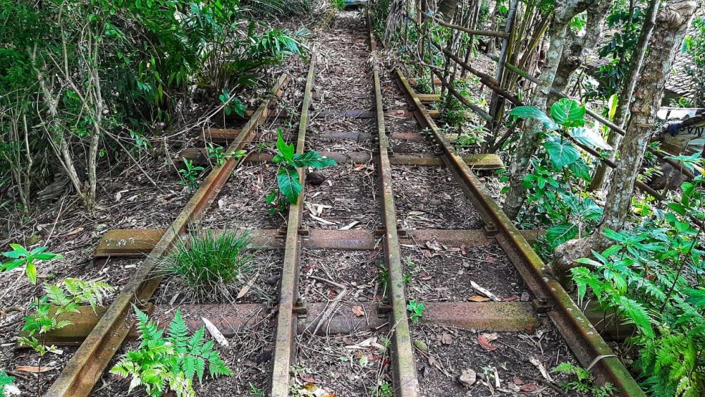 Reaktivasi Jalur Kereta di Banten Sudah Amdal, Kapan Mulai Dibangun?