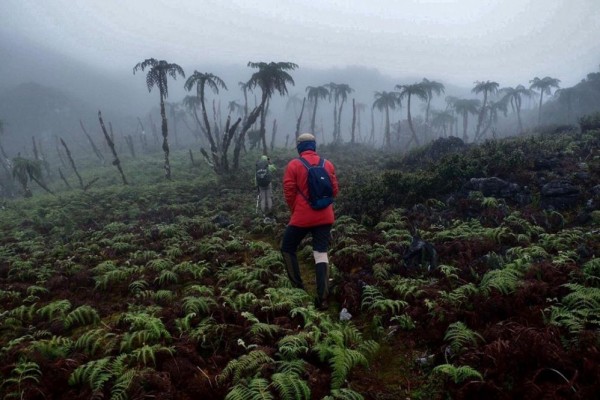 5 Gunung di Indonesia Timur Ini Dikenal Angker, Bisa Bikin Tersesat