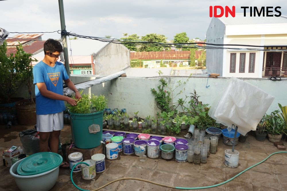 Cerita Seru Siswa SMP di Makassar Berkebun Akuaponik di Balkon Rumah