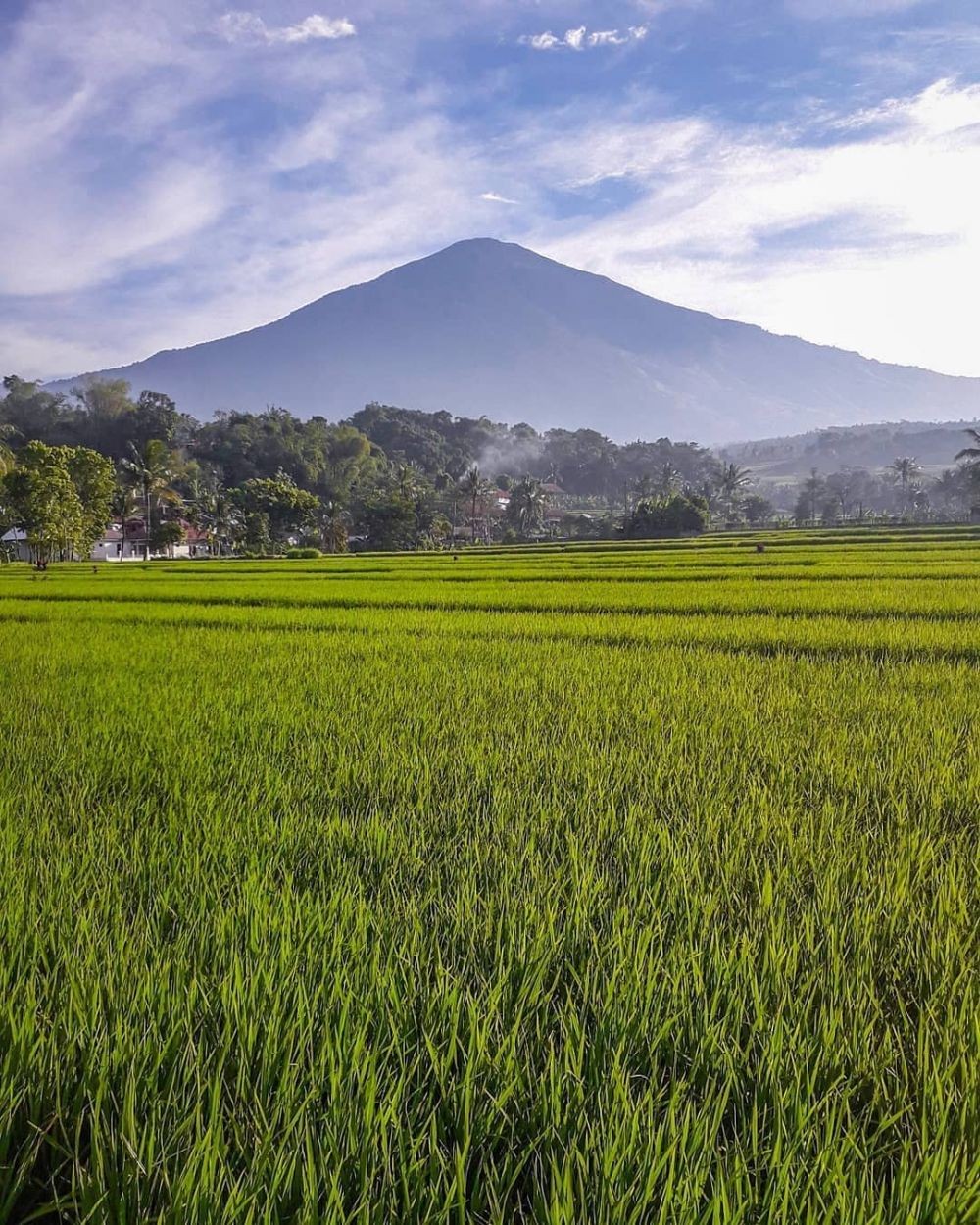 6 Tempat Angker di Kuningan yang Penuh dengan Kisah Mistis 