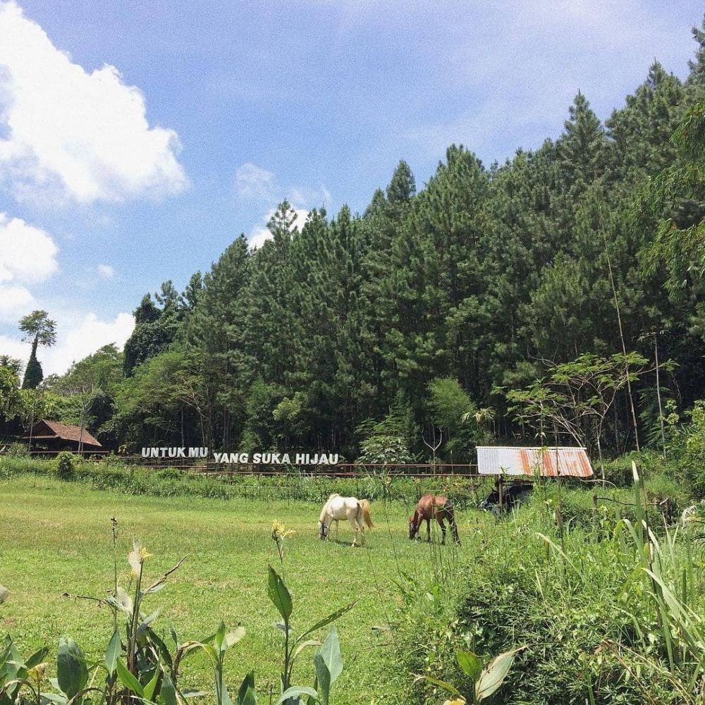 10 Tempat Wisata Sumedang Paling Favorit, Penat Langsung Hilang