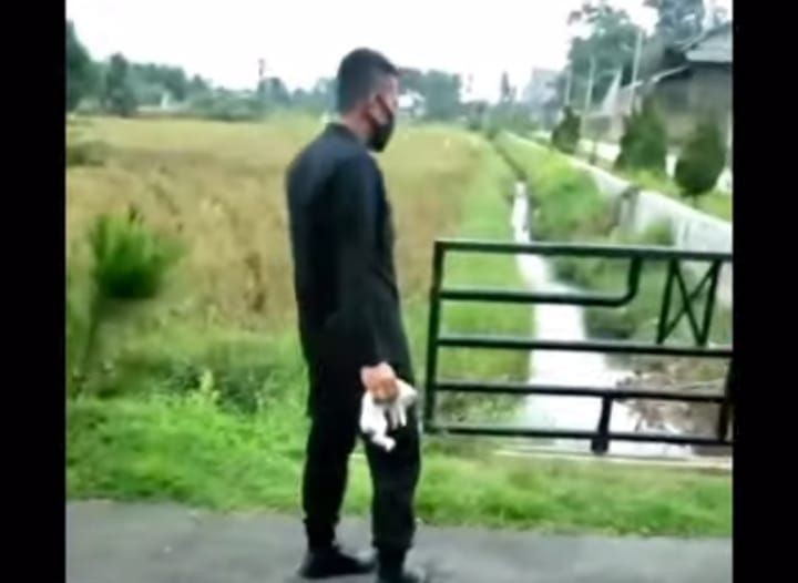 Beredar Video Brimob Melempar Anak Kucing ke Parit, Kini Brimob Tersebut Dalam Pemeriksaan