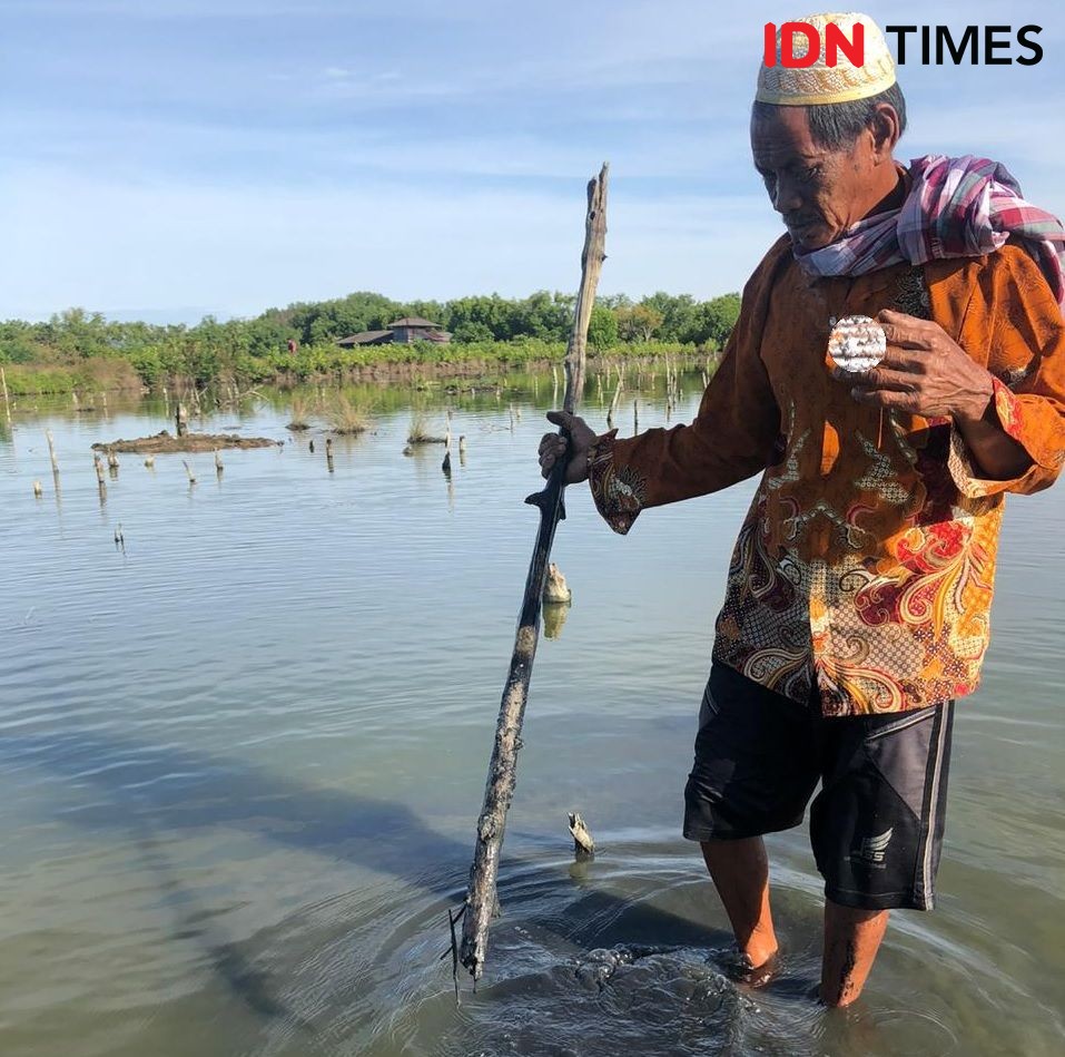 Garap Minapadi, Ribuan Petambak di Jateng Ditugasi Perbaiki Saluran Air