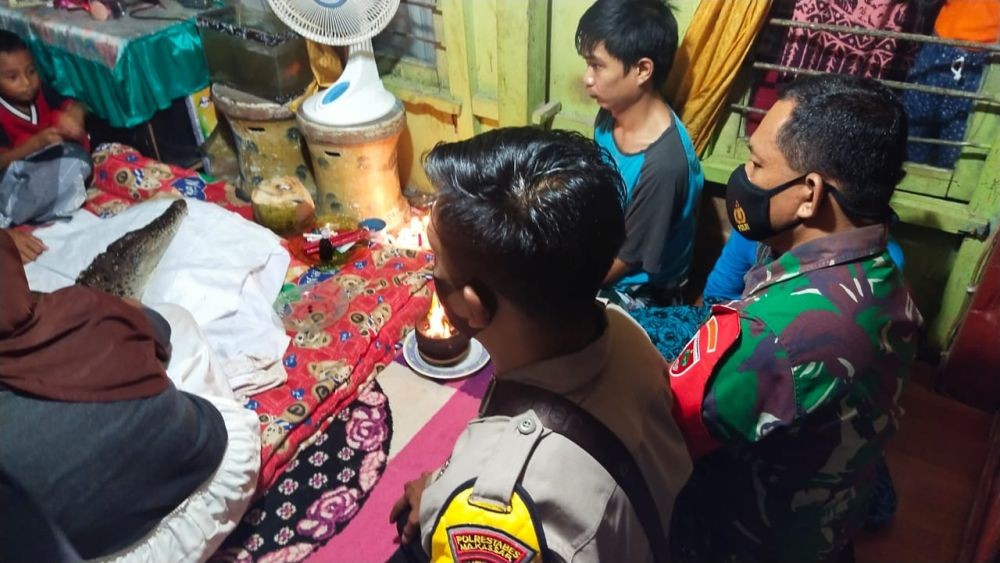 Keluar dari Sungai, Buaya di Makassar Disebut Mencari Keluarga Manusia