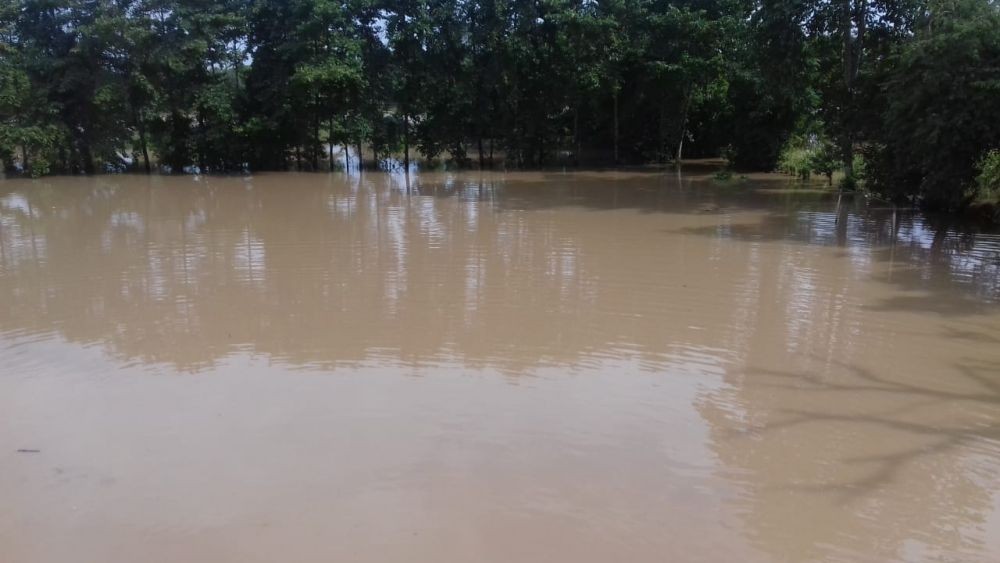 Banjir Musiman Hantui Warga Sumsel, Datang Lebih Cepat dari Prediksi