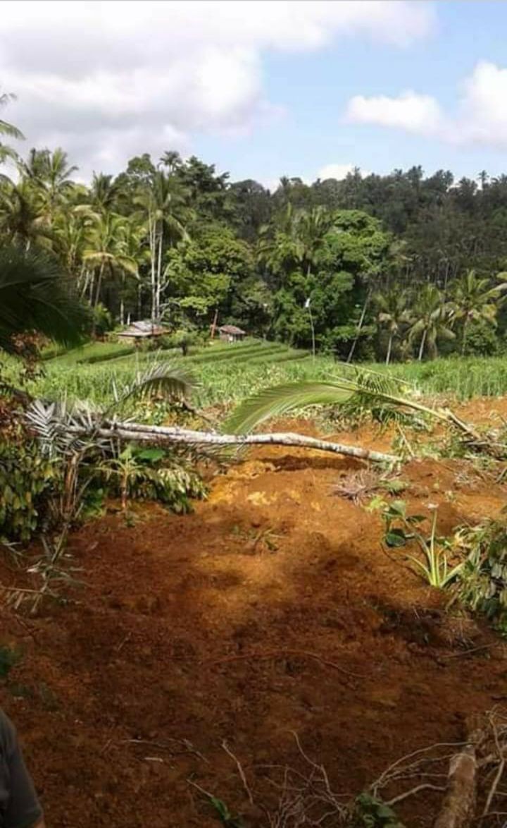 Empat Kecamatan di Tabanan Rawan Bencana, Warga Lakukan Gotong Royong
