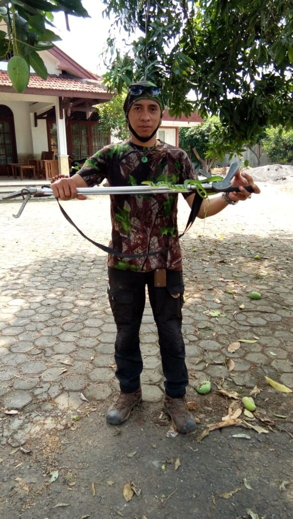 Ngeri! Rumah Warga Semarang Kemasukan Puluhan Ular Kobra Hingga Piton