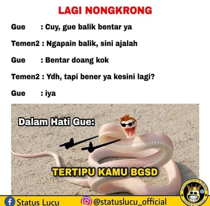 Auto Ngakak, 10 Meme Gak Sesuai Ekspetasi Ini Bikin Orang Kecele