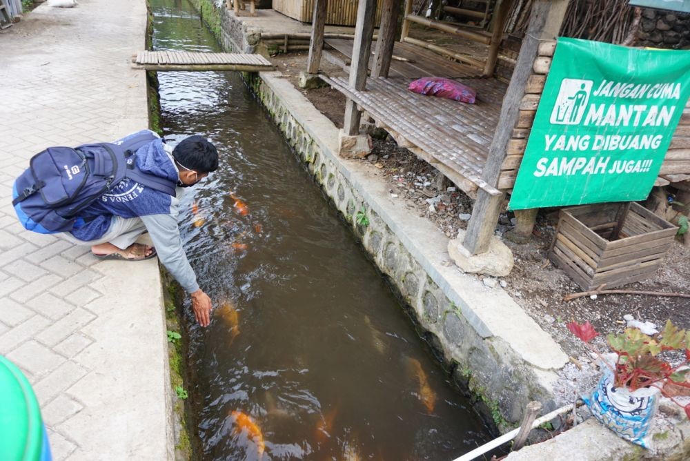 Kisah Rusady, Penggagas Kampung Ikan Hias di Banyuwangi