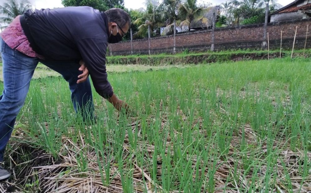 Mahasiswa Unlam Ciptakan Aplikasi untuk Tingkatkan Produksi Petani