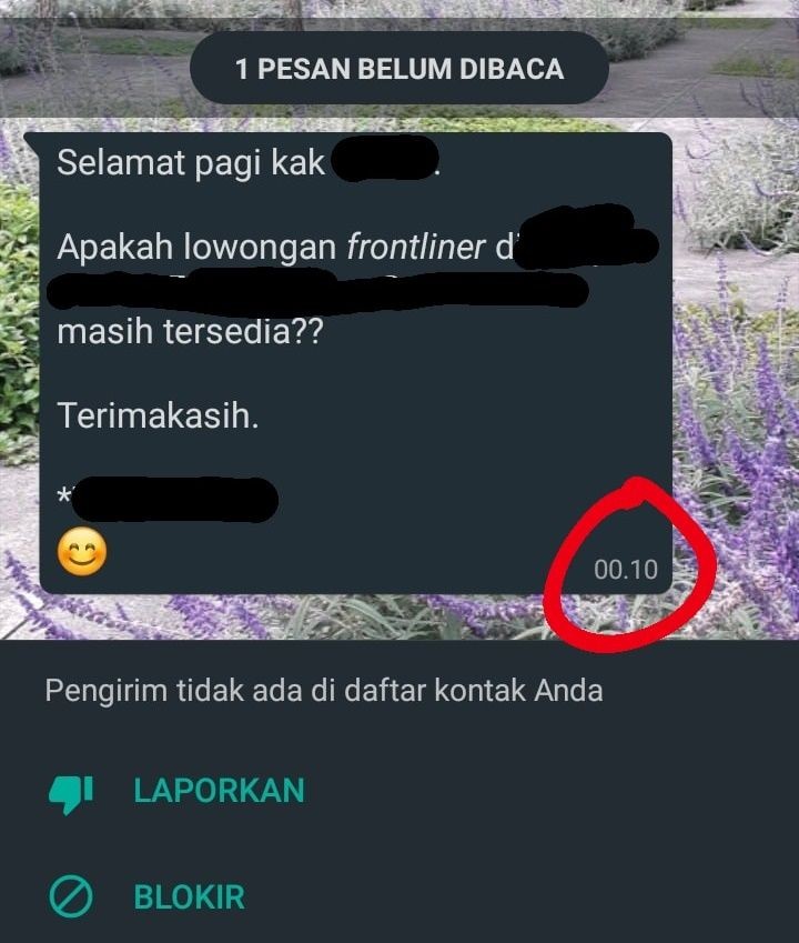Belum Diterima Sudah Belagu, 10 Chat Pelamar Kerja Ini Bikin HRD Emosi