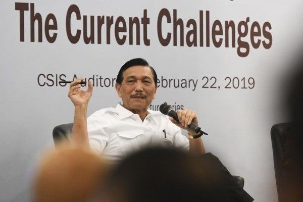 Ekspor Benih Lobster Siap Dilanjut Lagi di Tangan Luhut