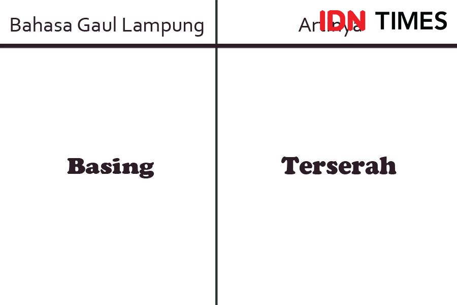 HUT ke-58 Provinsi Lampung, Ini 13 Bahasa Gaul Populer Milenial Lampung