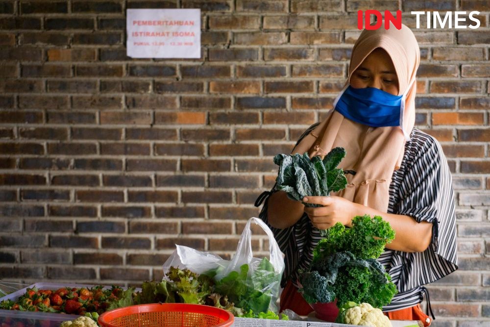 Dewan Adat Dayak Minta Diajari Pola Pertanian Modern di IKN Nusantara