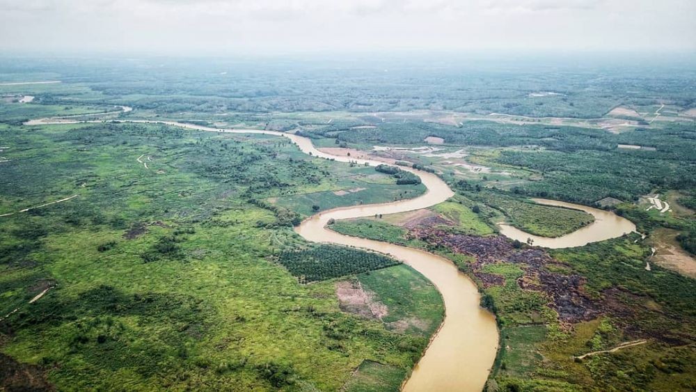 Pakar Bilang Kondisi Daerah Aliran Sungai di Lampung Kritis