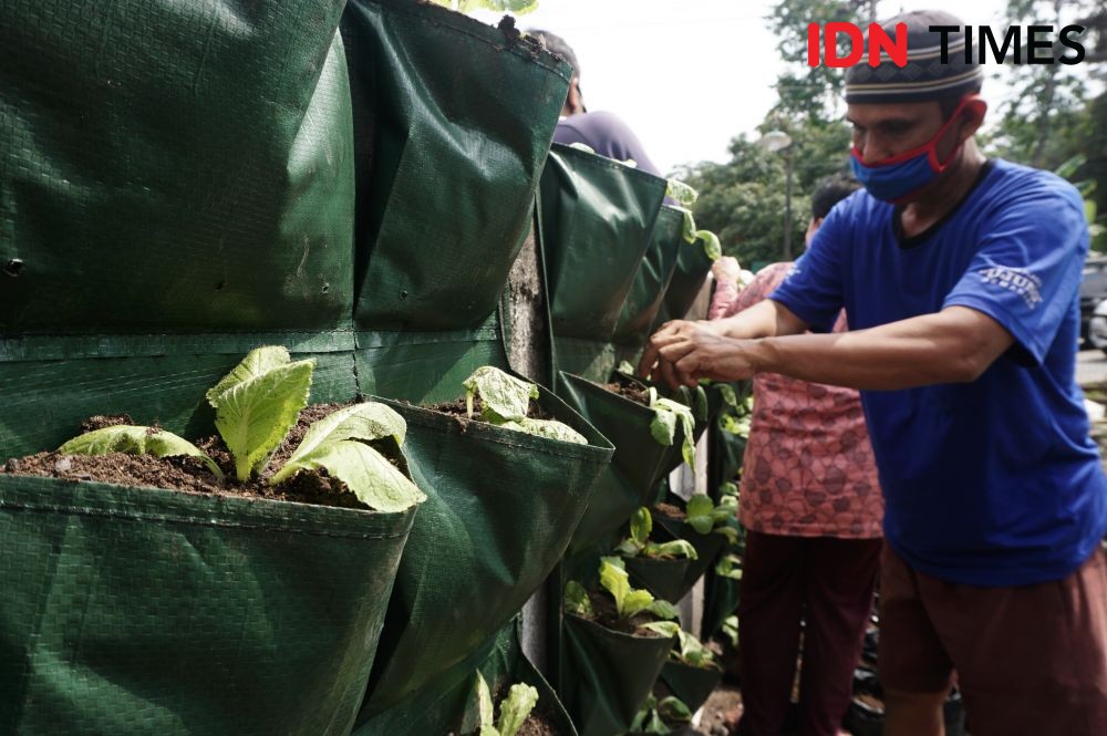 Warga Giatkan Urban Farming di Lokasi Proyek SPAM Semarang Barat
