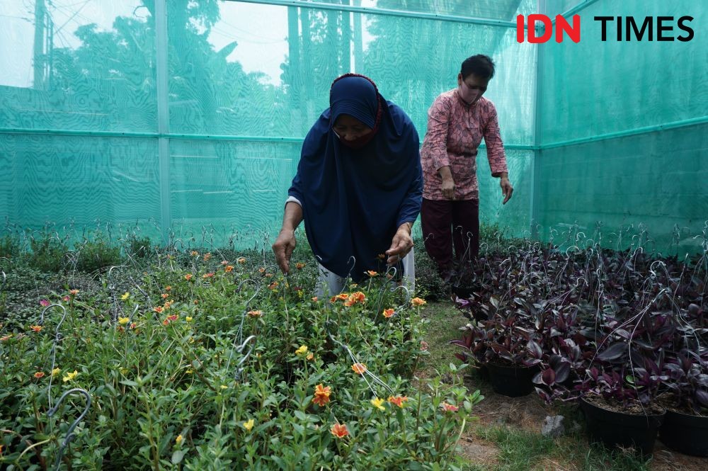 Warga Giatkan Urban Farming di Lokasi Proyek SPAM Semarang Barat