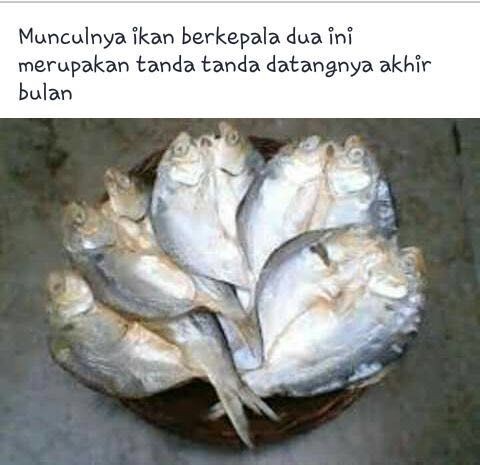 10 Meme Efek Tanggal Tua yang Ending-nya Halu dan Bikin Cekikikan