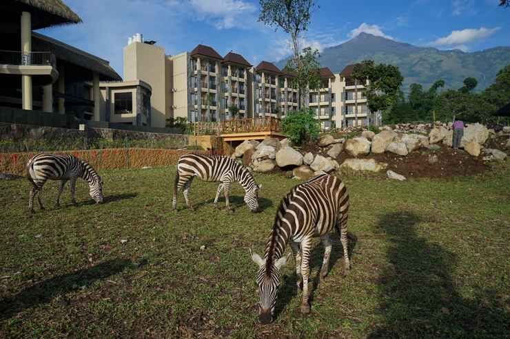 6 Hotel Bertema Kebun Binatang untuk Staycation Seru Bersama Keluarga