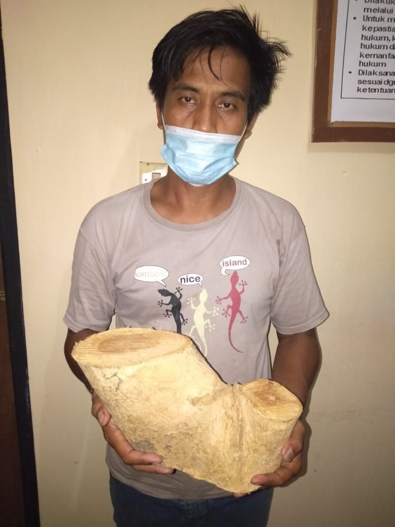 Tebang 18 Pohon Jati, Pria Asal Buleleng Bali Terancam 5 Tahun Penjara