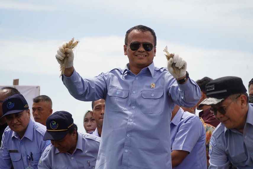 Pasca OTT Menteri KKP, Harga Benih Lobster Bayah Lebak Anjlok