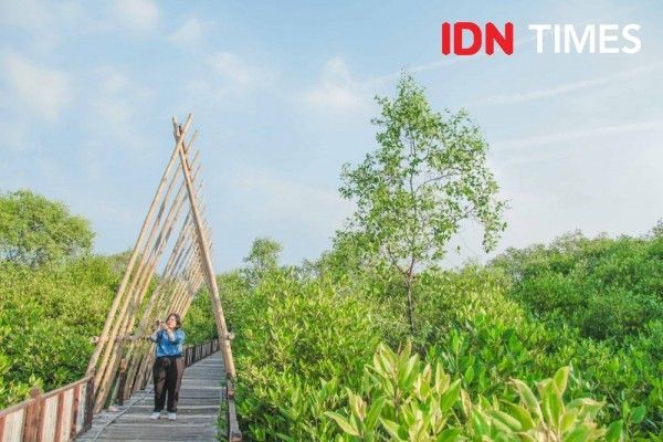 Jaga Lingkungan di Jabar, PT MUJ ONWJ Siap Tanam Ribuan Bibit Mangrove