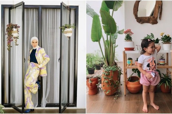 Ide Koleksi Tanaman ala Tantri Namirah, Tradescantia sampai Kalanchoe