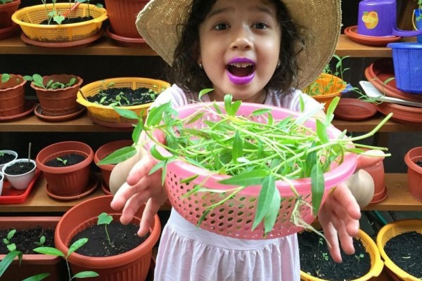 Intip 9 Potret Tanaman Artika Sari Dewi, Ada Petunia Lagi Berbunga