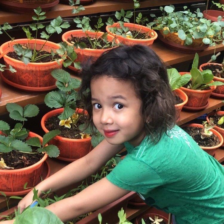 Intip 9 Potret Tanaman Artika Sari Dewi, Ada Petunia Lagi Berbunga