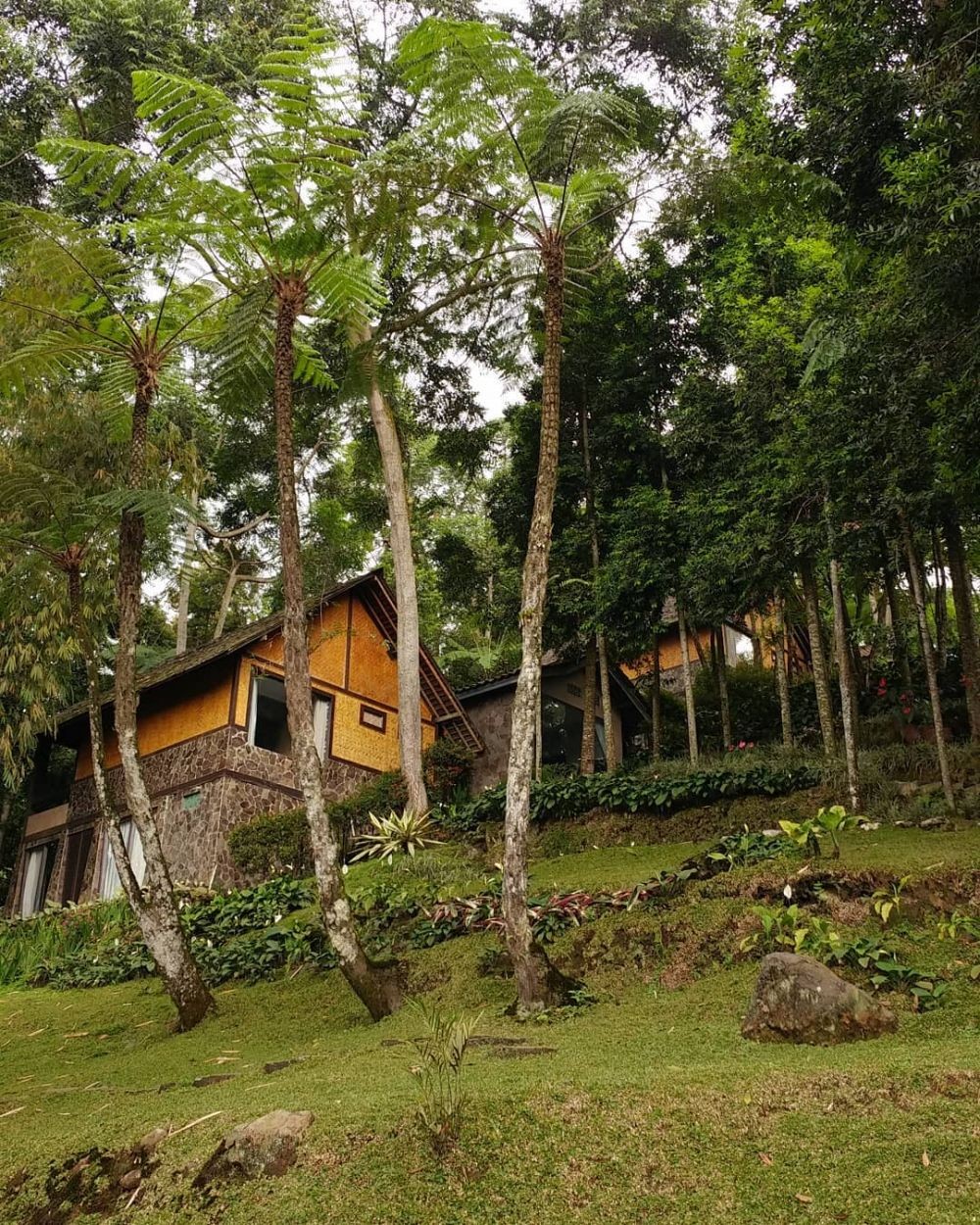 5 Hotel Tengah Hutan yang Menarik di Bogor, Pilihan Staycation Seru