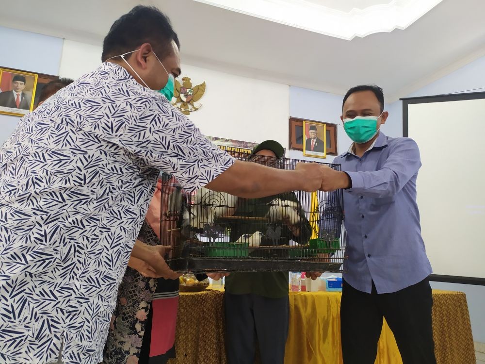 Asyik Mancing di Pleret, Warga Semarang Temukan Buaya Betina 80 Cm