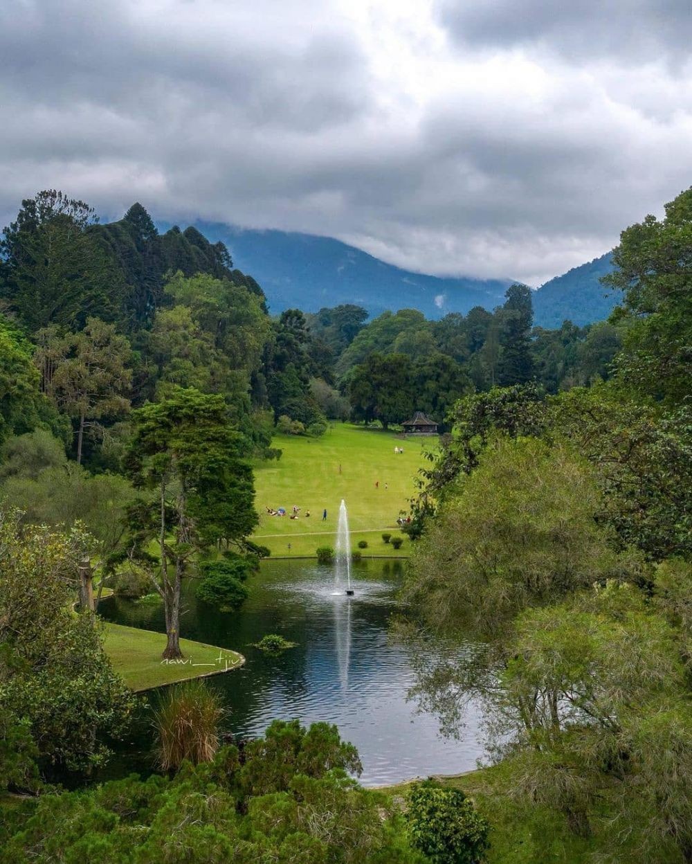 7 Wisata Kebun Raya di Indonesia, Liburan Aman di Tengah Pandemik
