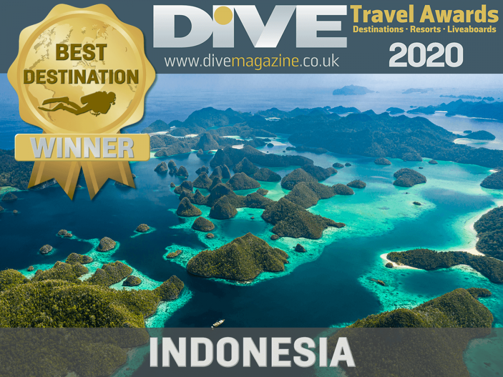 Bangga, Wisata Selam Indonesia Raih Juara di Dive Travel Awards 2020!